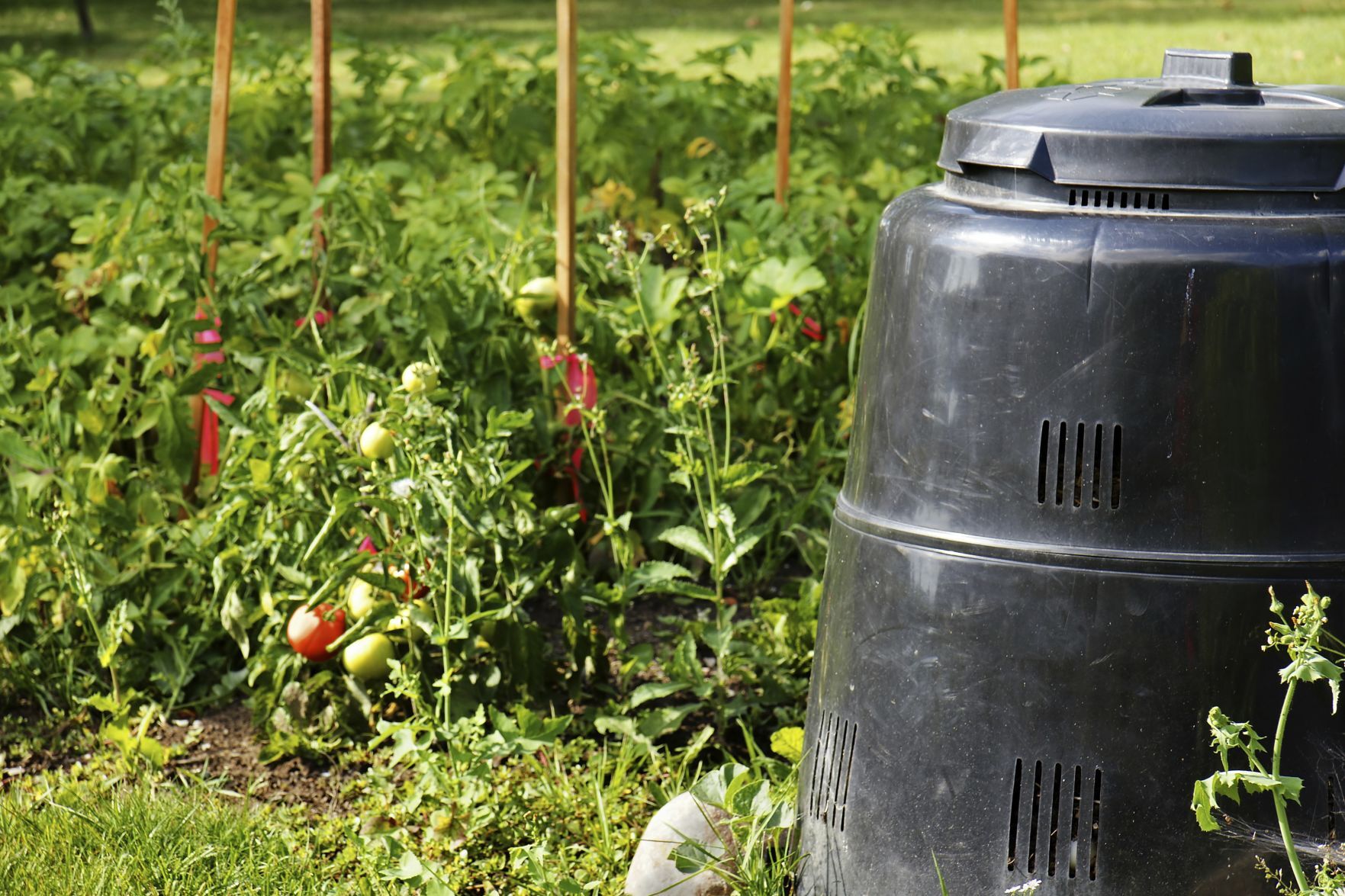 Compost